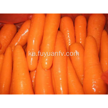 ახალი Carrot L ზომა